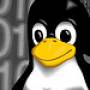 linux-tux1.jpg